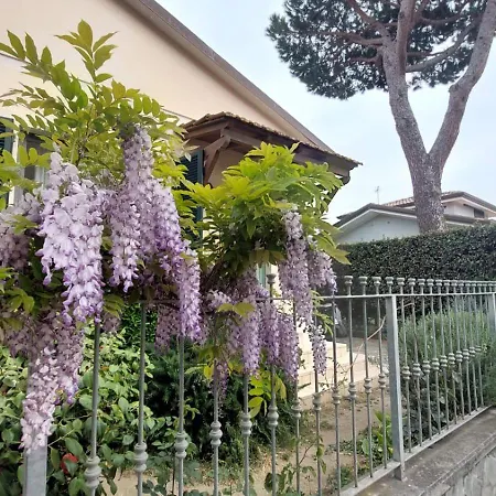 Casaema